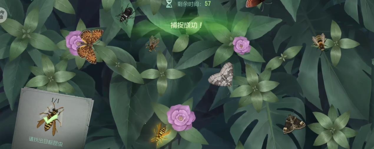 第五人格普林尼的标本怎么玩