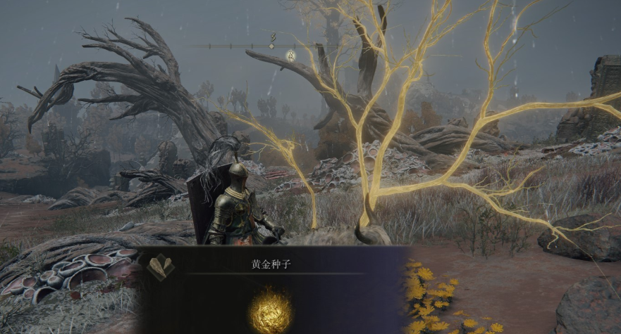 艾尔登法环黑夜君临怎么获取遗物