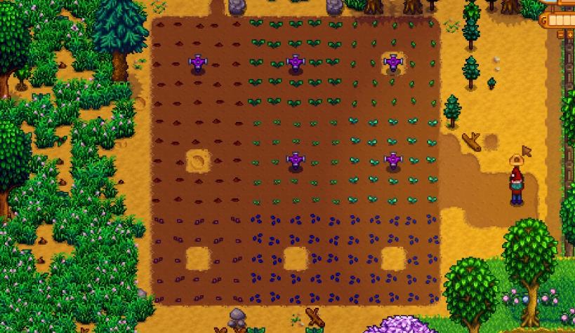 星露谷物语怎么种植金星作物