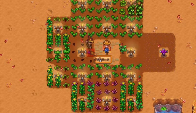 星露谷物语怎么种植金星作物