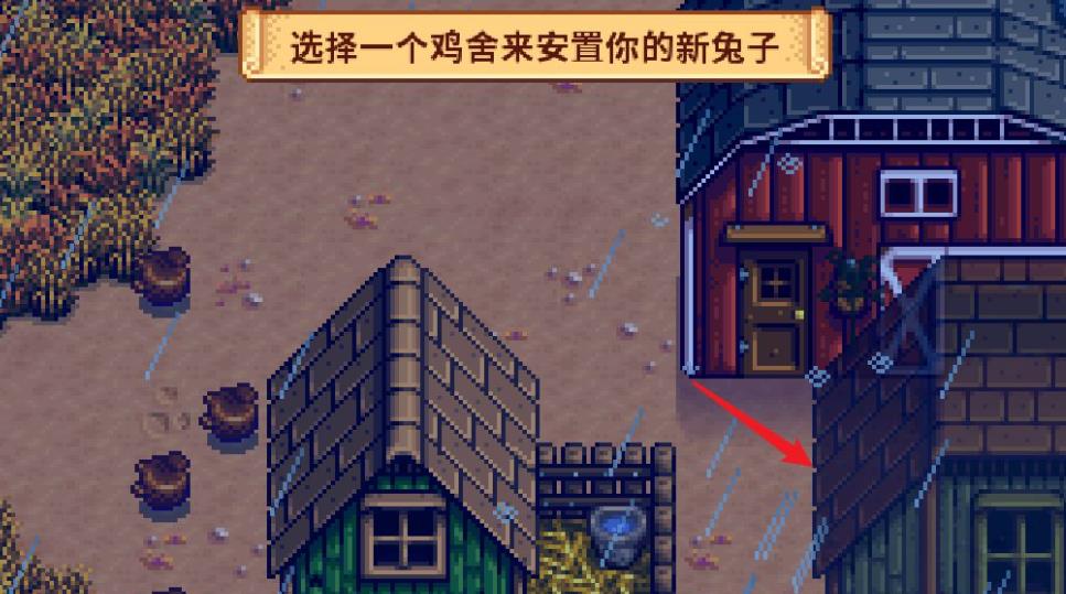 星露谷物语兔子怎么饲养