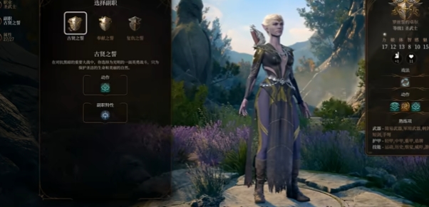 博德之门3圣武士有哪些副职