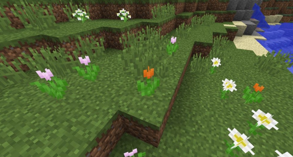 我的世界郁金香有什么作用