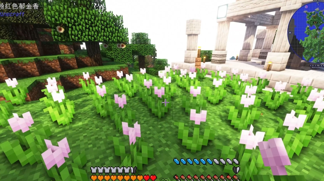 我的世界郁金香有什么作用