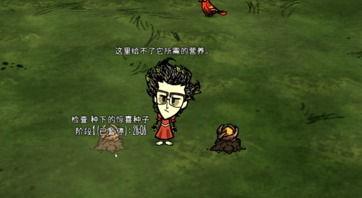 饥荒惊喜种子有什么作用