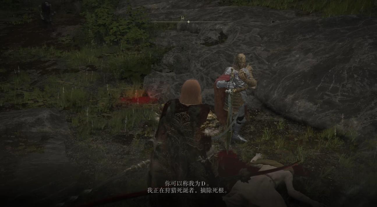 艾尔登法环D的支线任务怎么做 艾尔登法环D的支线任务怎么做