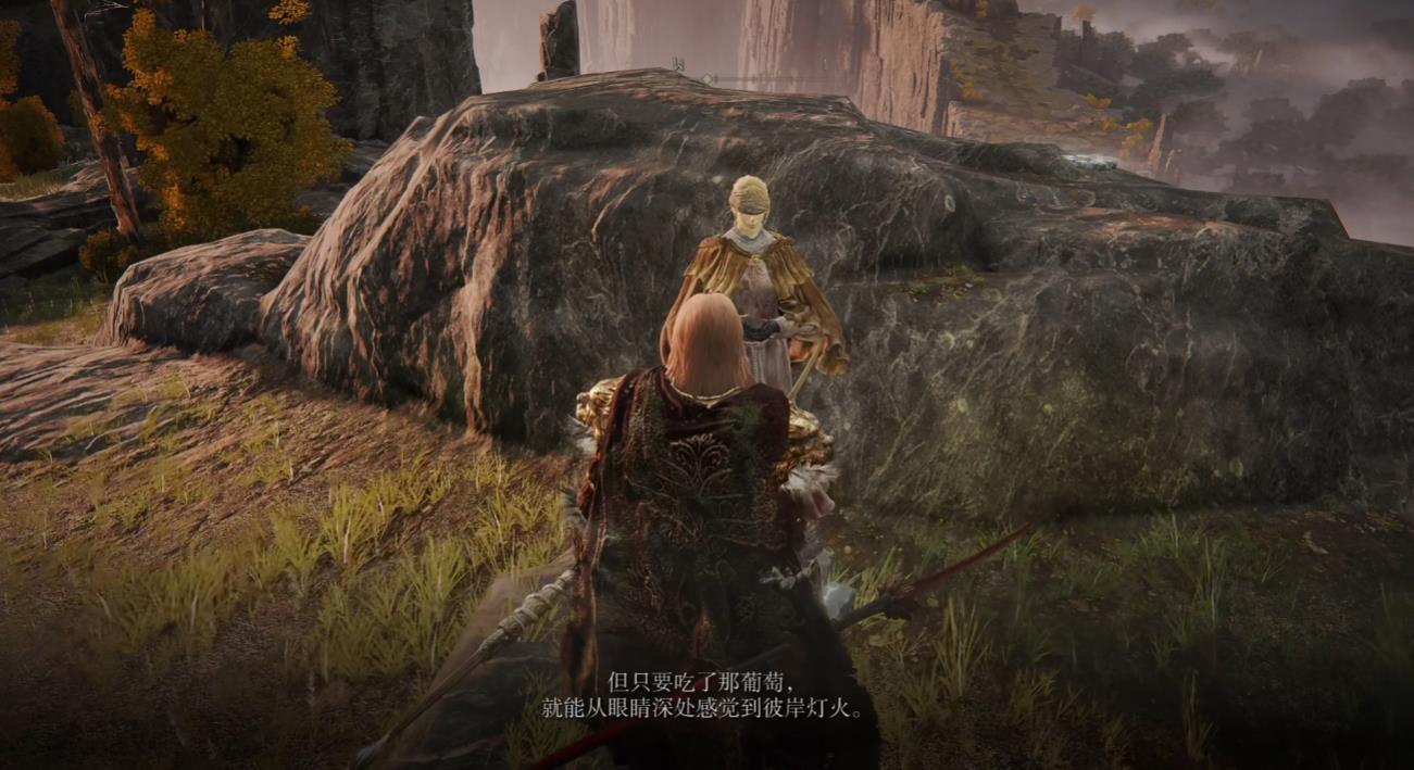 艾尔登法环海妲支线怎么做