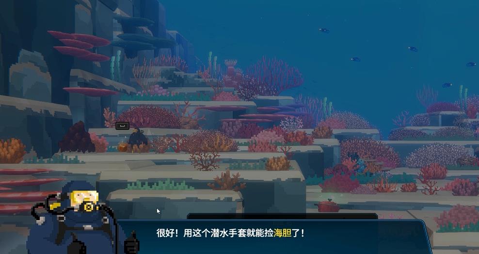 潜水员戴夫海胆怎么养殖