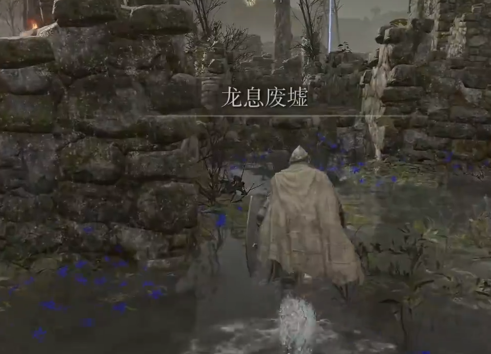 艾尔登法环圆桌厅堂在哪里 艾尔登法环圆桌厅堂在哪里