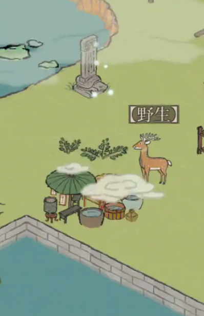 江南百景图野生动物怎么捕捉