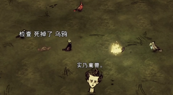 饥荒乌鸦怎么抓