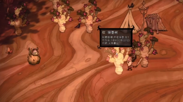 饥荒块茎树有什么作用