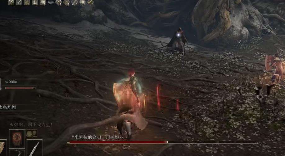 艾尔登法环水鸟乱舞流怎么玩