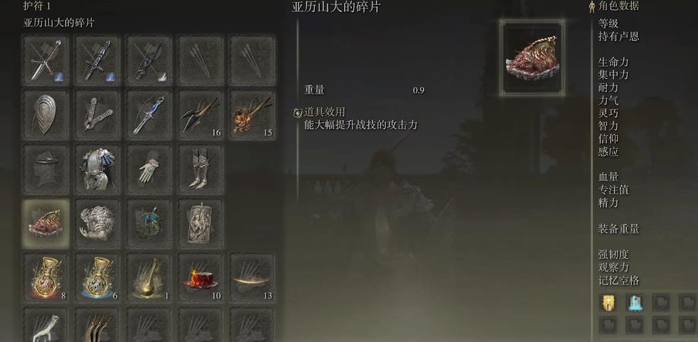 艾尔登法环伟哉卡利亚流怎么配装