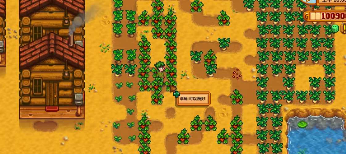 星露谷物语春季种植什么