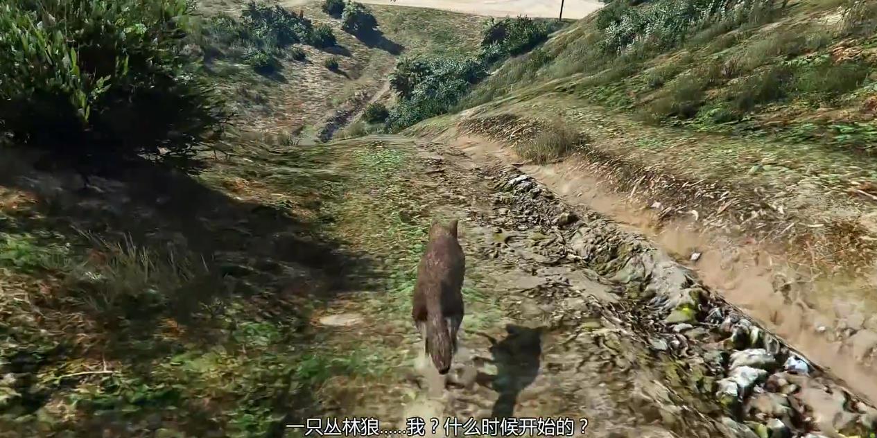 GTA5迷幻仙人掌怎么找 GTA5迷幻仙人掌怎么找