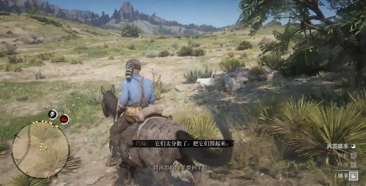 荒野大镖客2绵羊和山羊怎么做