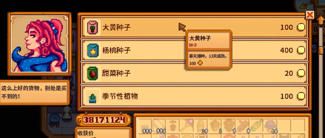 星露谷物语绿洲商店有什么有用的商品