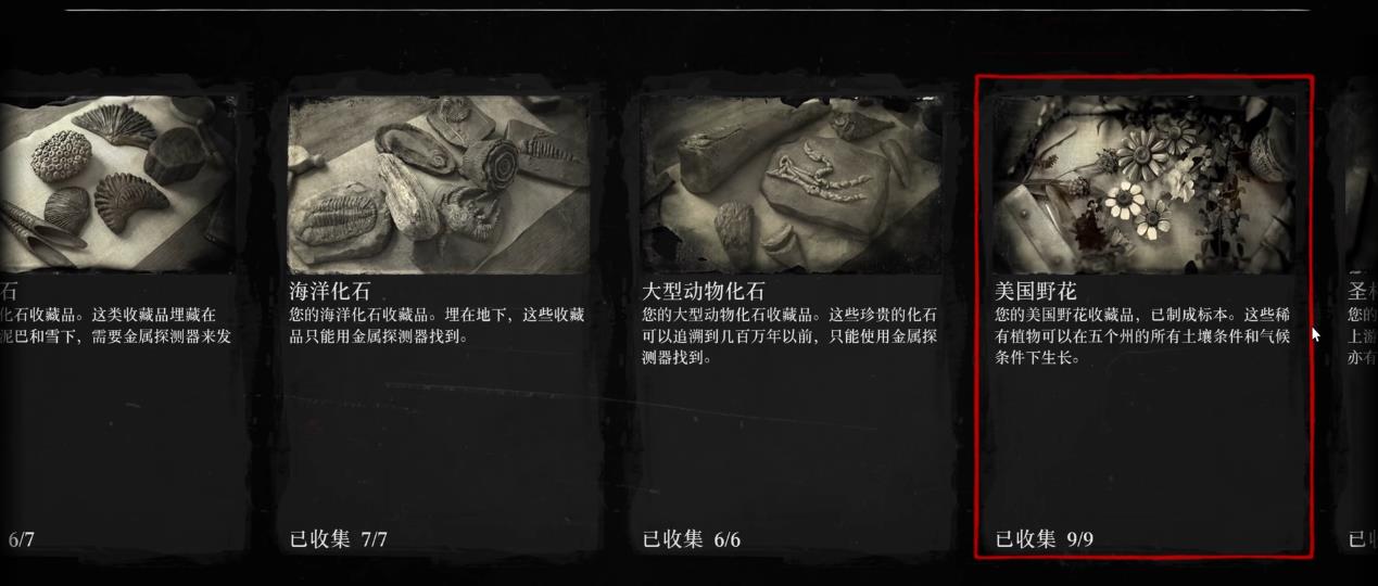 荒野大镖客2收藏家怎么玩 荒野大镖客2收藏家怎么玩
