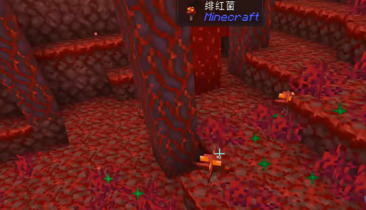 我的世界绯红菌特性是什么