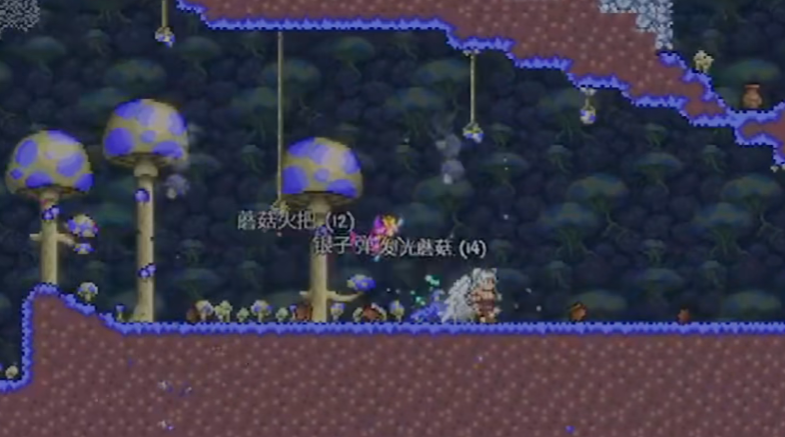 泰拉瑞亚灾厄环境神龛中有哪些物品