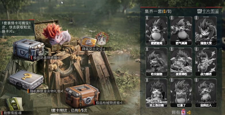 和平精英集豚尔表情卡玩法是什么 和平精英集豚尔表情卡玩法是什么