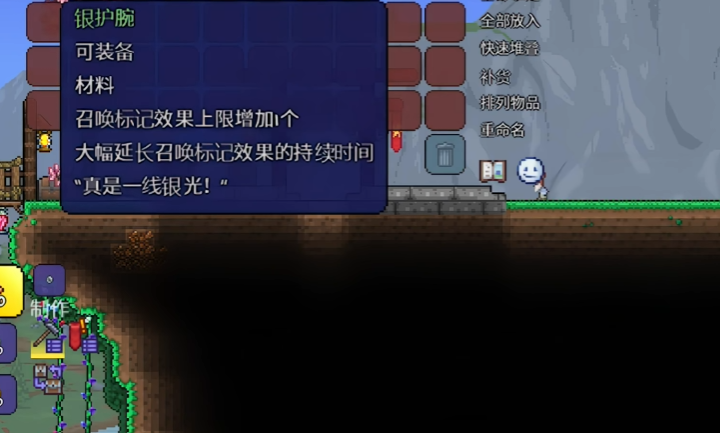 泰拉瑞亚切鞭相关饰品有哪些 泰拉瑞亚切鞭相关饰品有哪些